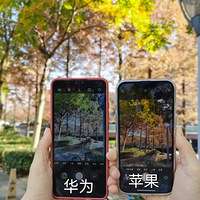 ��ΪVSƻ���ֻ�ԭ������նԱȣ����Ǹ�ϲ���ļҵ�ɫ����