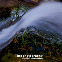 ������Ե����Ծ����ӭ���꣬��Хʯ����������������ͼ��