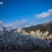 ��װ�ع�-������