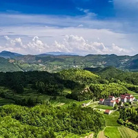 ̨������10�����㽭ɭ�����ɡ�����ȥ���ļ�����