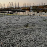 [������]˪��ѩ