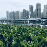 ���ϵĻ���������԰