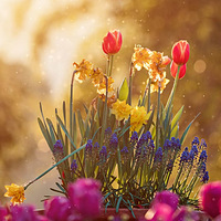 ����Ӱ2021��ϲ����ͷ�е����磬�򵥶�������