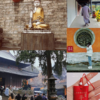 �������ġ�Ԫ����һ��ȥ�ݷ�