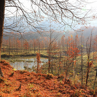 2021��С֥��ɼ�ֽ�����