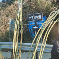 �ٵ��ĺ�����