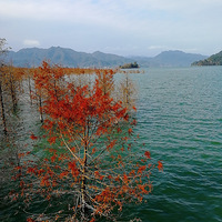 [������]������ĺ�����