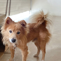 Ѱ������