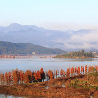 ��̶ˮ�������˼��  �����������