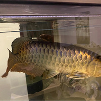 ����Խ��Խ���ˡ�