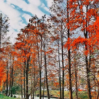 ���ֽ���һ�����մ򿨵ĵط��������ܺó�Ƭ