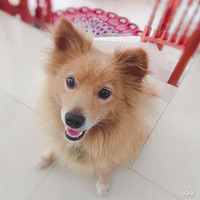 Ѱ������