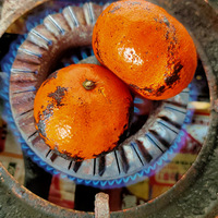 �������ġ������ӣ���˵ֹ��Ч���ܺ�