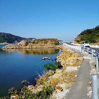 ��2021�����ܽ᡿���ҵ�ţ���ܽ�