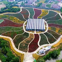 �ÿ����óԣ�ʡ��������̨��5���ϰ�