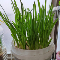 �������ġ��Ұ����ֳ�ˮ�ɻ���