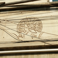 ͽ����7��