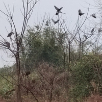 �������ġ�һ������