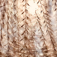 �泯�󺣣���ů���_