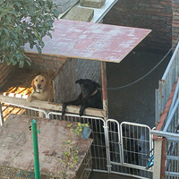 ���۸��᡿�ָ���ե����׬Ǯ��