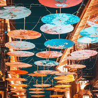 [����]+����Ͻ�