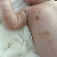 ���̵Ľ�֭�������˳���12��ı�������