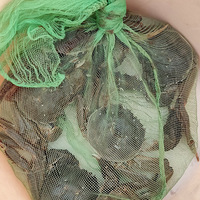 ���۸��᡿���Ǵ���Ǯ�����񱣶�������