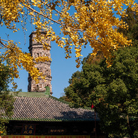 �����ٺ�