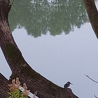 �������ġ�����