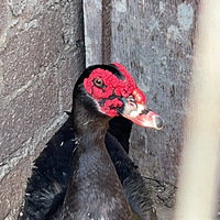 �ع���Ȼ�����Ƿ���һ�ж�����ô���ã�