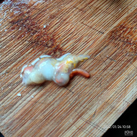 �������ġ���з�����ɫ���ǳ�����