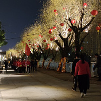 ����Ӱ2022����̨�ݡ��ŵ���ɫ-20220124-����