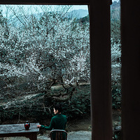 ��԰Сİ�ַ괺