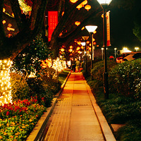 [����]+ҹ·���