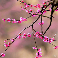 �����ġ�����