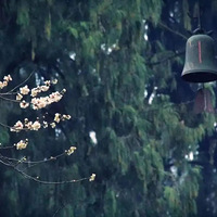 ���ܿգ�̨��һ֪��������ͣ���ţ������¾����ڴ����ڼ���ͣ����