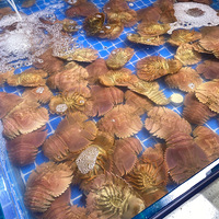 ���۸��᡿�������Щ����ֵֹ�����