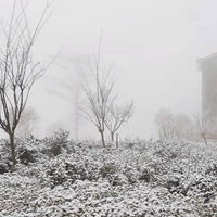 2022�껪���ڶ���ѩ