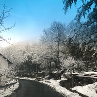 ����������ѩ