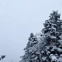 �����ġ�ѩ��