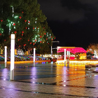 ����Ӱ2022����̨�ݡ�������Ӱ-20220203-����