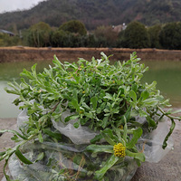 �������ġ�����ɽҰ��