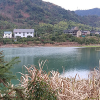 �������ġ����봺ɫ