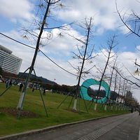 �������ġ�����ķ��ݣ��Ų�����