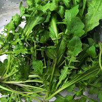 �������ġ���ժ���ö����ˣ����ϳ�һ��