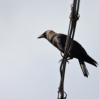 ̨��ռ2λ���㽭��һ��������12λ���³�Ա��