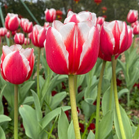 ����㳡��������