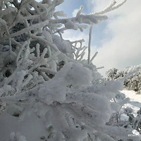 ������壬��̨ǧ�׸�ɽ������ۼ�����˼��ɾ���