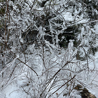 ��ѩ����ɽ