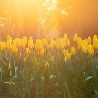 �����ġ�������������